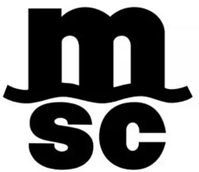 地中海航运 MSC
